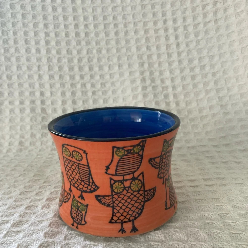 Pier 1 Hand Painted Stoneware Owl Mug
